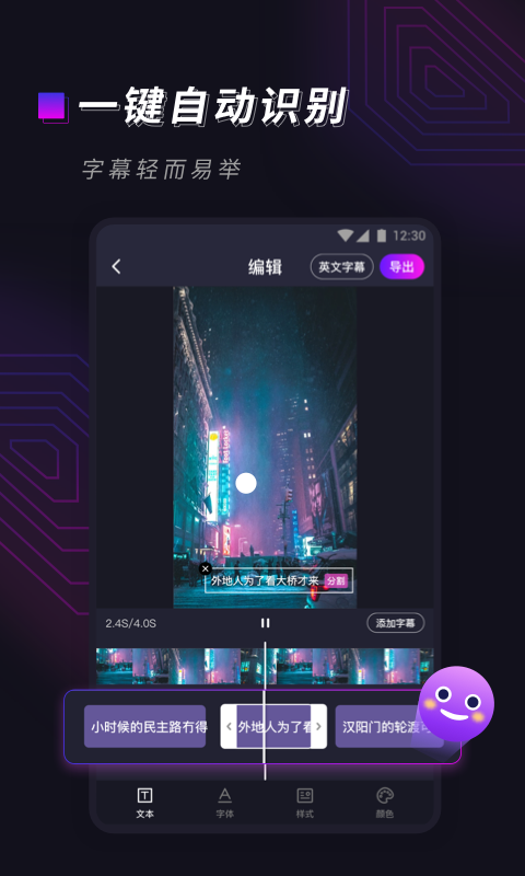 视频字幕大师截图