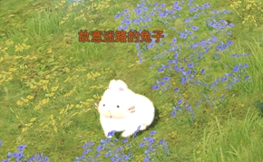 《天下》手游灵蕴符咒玩法助神符问世，秋日活动开新章，海量军资及众多好礼等你来拿~