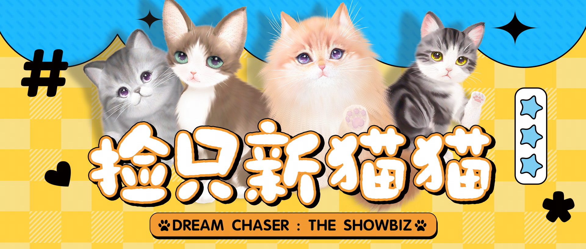 《绝对演绎》宠物系统更新，打造堪比猫咖的温馨喵之家