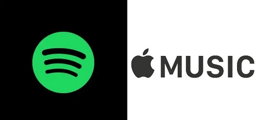 spotify怎么读-spotify阅读方法