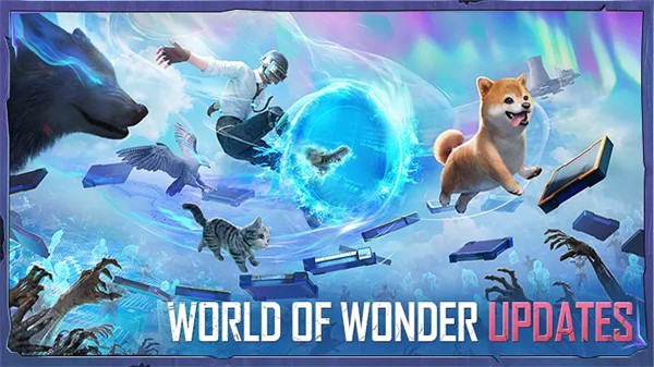 pubg绝地求生国际服 2.6.1手游app截图