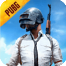 pubg国际服 手游下载官方网站最新版