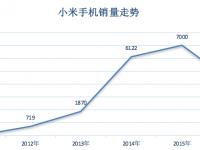 雷军三十年沉浮录
